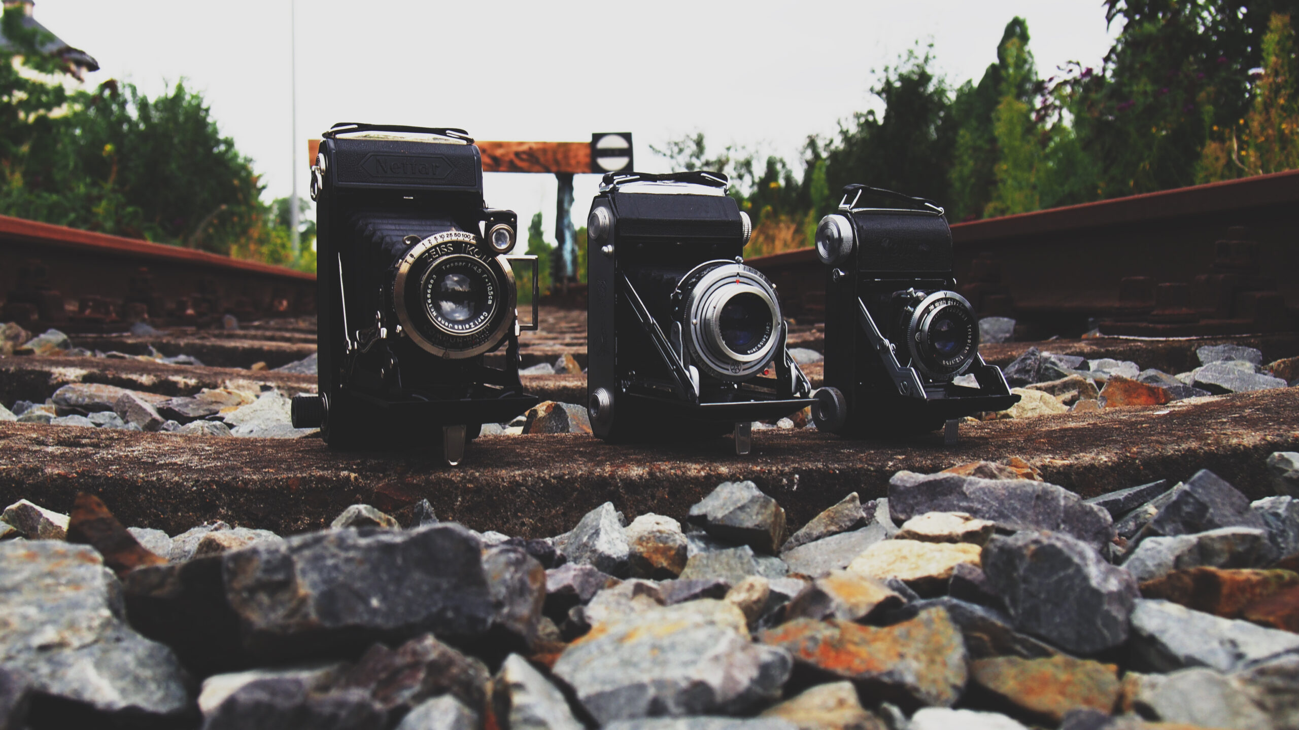 Timeless Photography: Capturing the Past with Three Vintage Folding Cameras